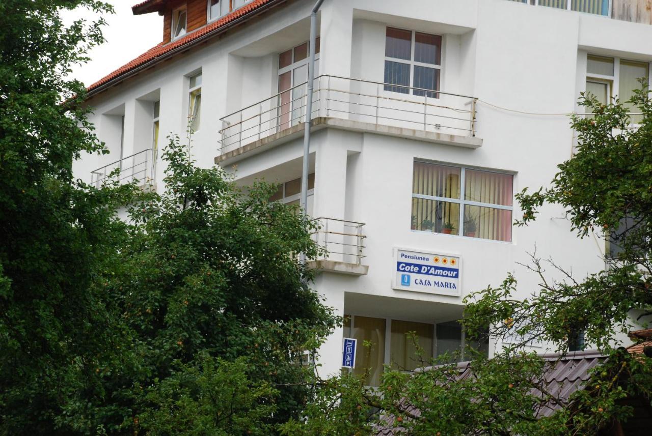 Pension Cote D'Amour Moieciu de Jos Exteriér fotografie