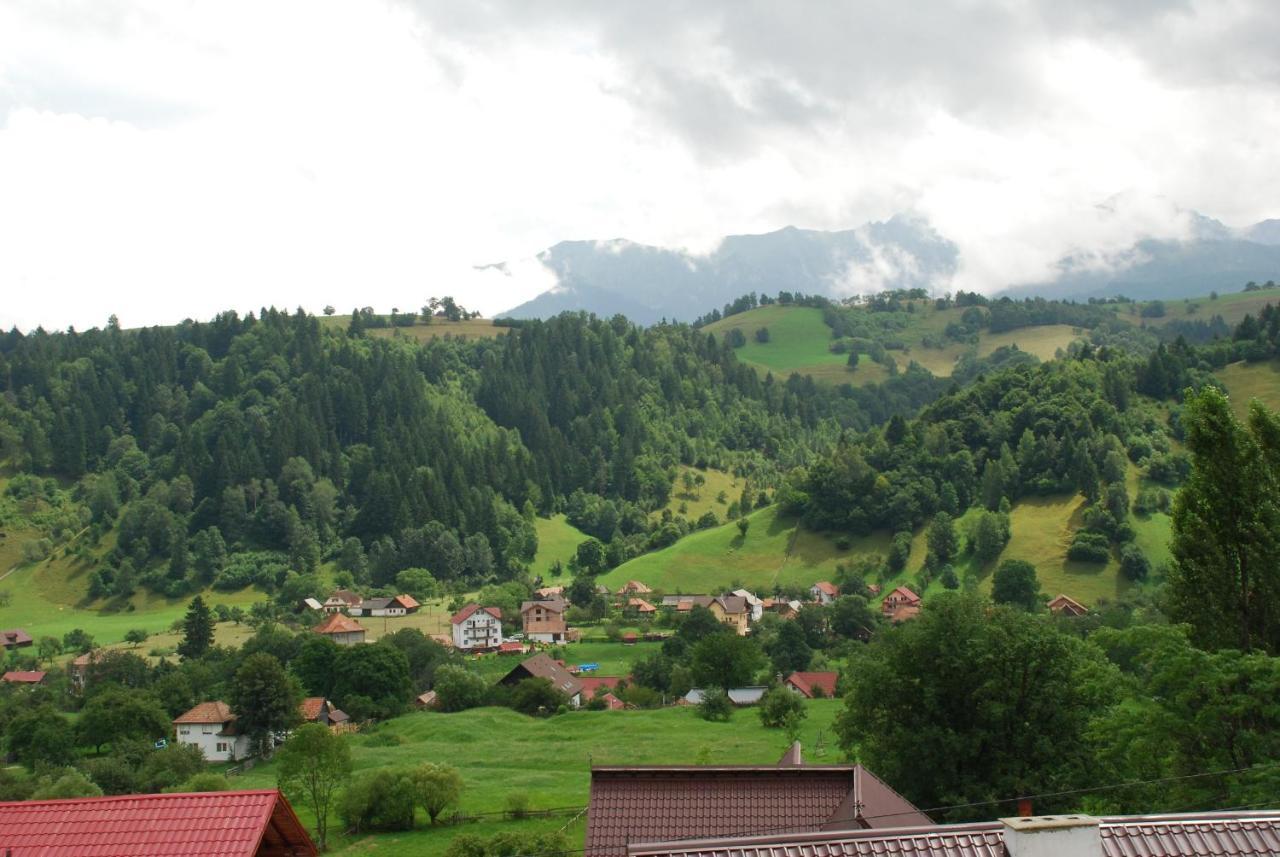 Pension Cote D'Amour Moieciu de Jos Exteriér fotografie