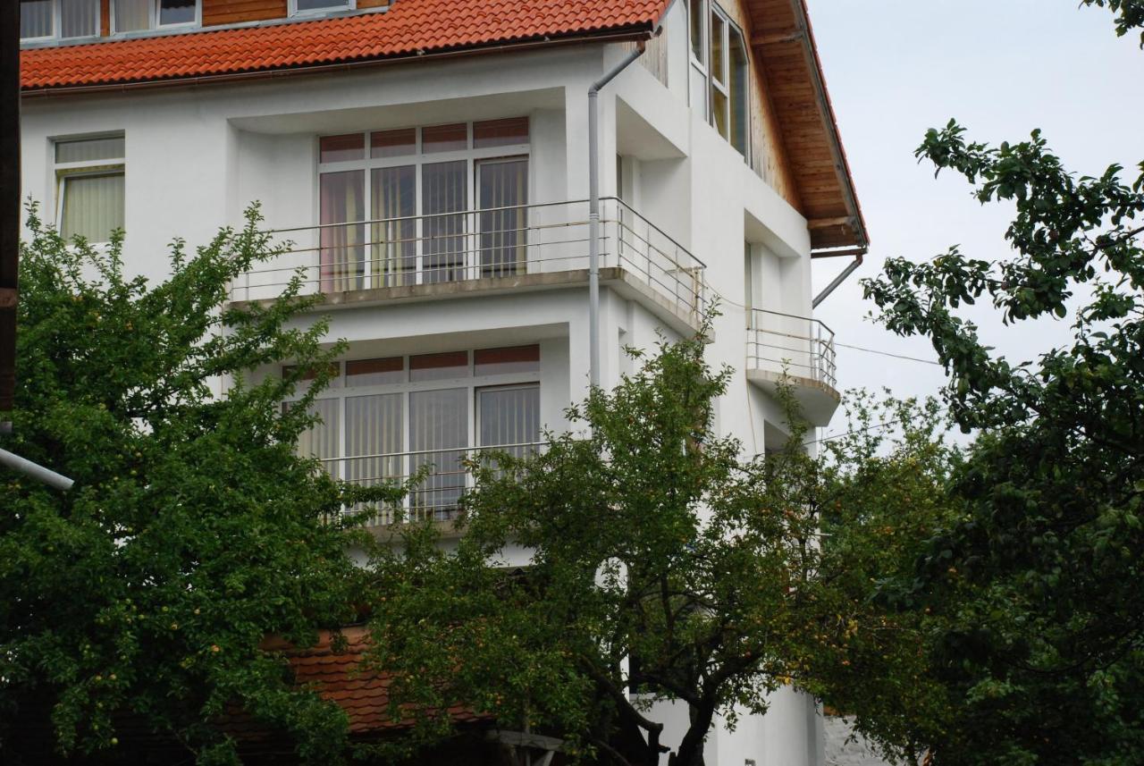Pension Cote D'Amour Moieciu de Jos Exteriér fotografie