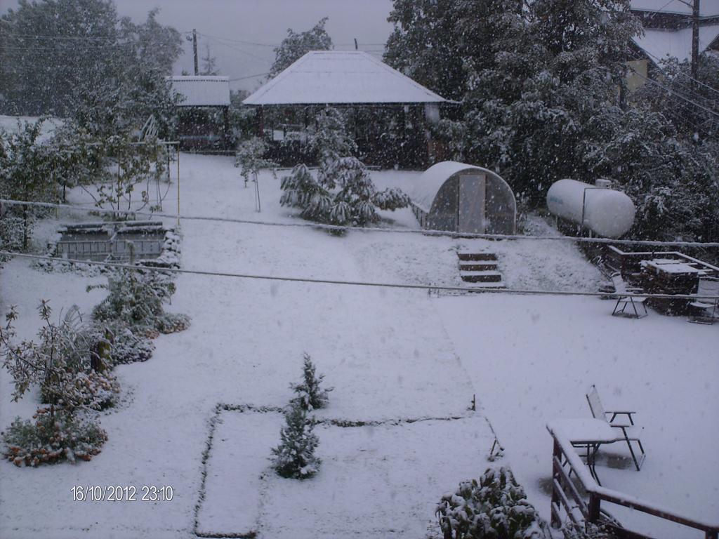 Pension Cote D'Amour Moieciu de Jos Exteriér fotografie