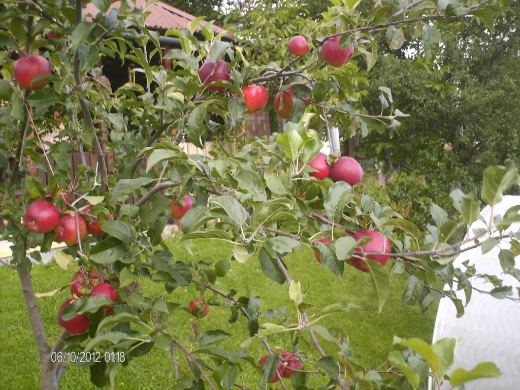 Pension Cote D'Amour Moieciu de Jos Exteriér fotografie